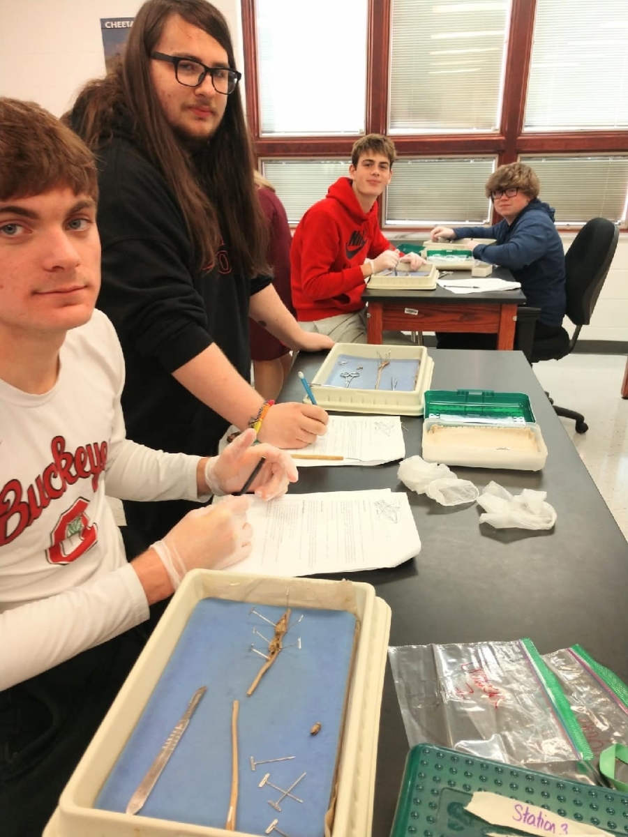 Zoology Students working in classroom